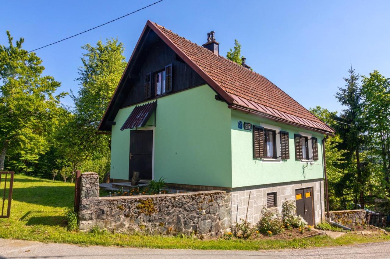 Forest Chalet Zalesina Exterior photo